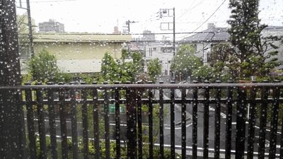 ブランニュー杉並高井戸_景色